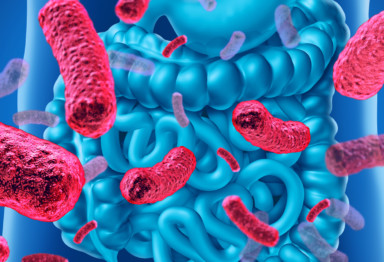 Illustration of probiotic microbes and gut