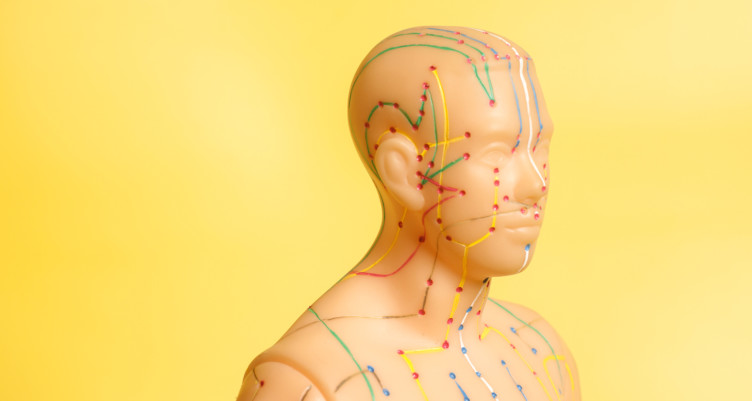 Illustration of acupressure points