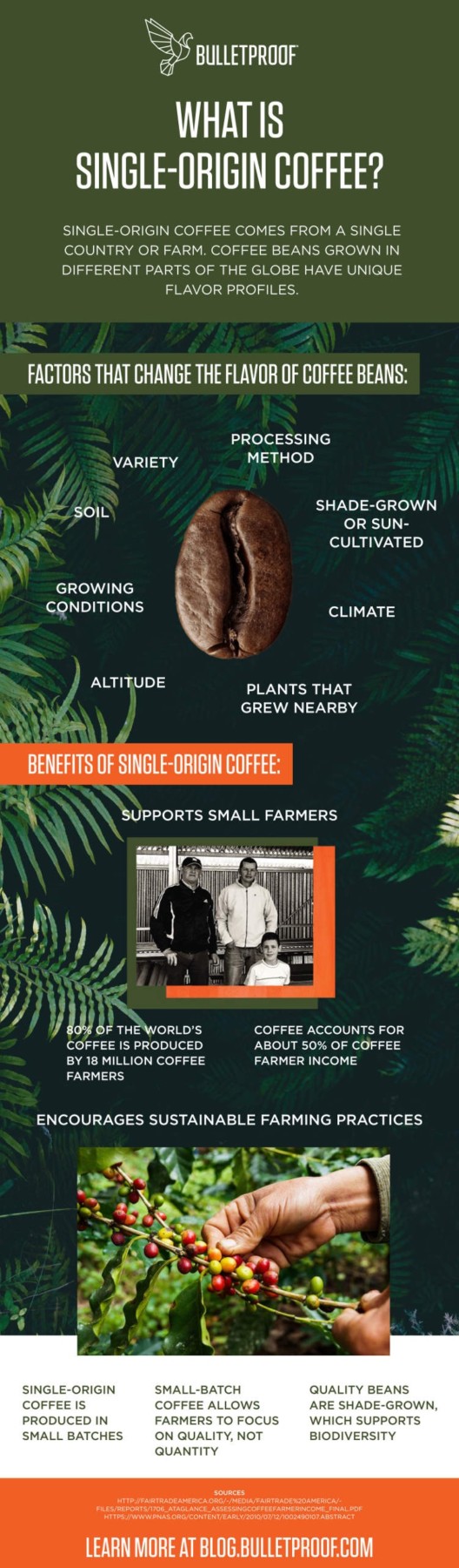 What Is SingleOrigin Coffee and Why Does It Matter?