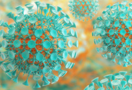 Close-up of microbes in body