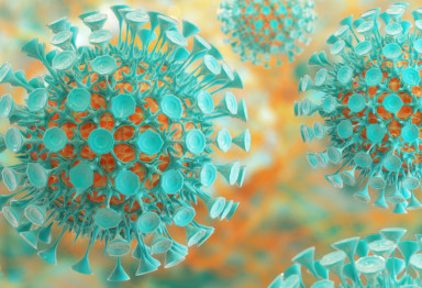 Close-up of microbes in body