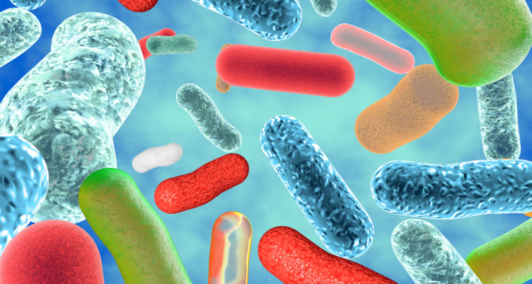 Illustration of gut bacteria