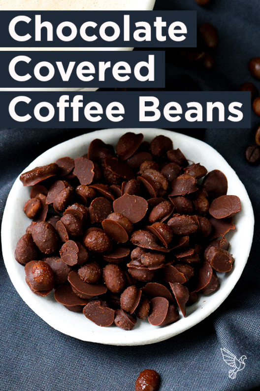 LowCarb Chocolate Covered Coffee Beans Recipe Bulletproof