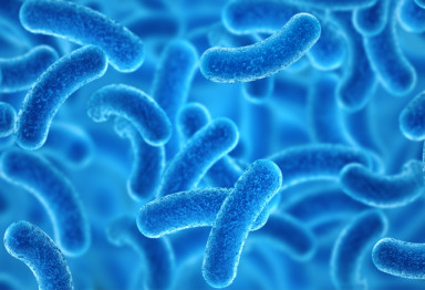 Closeup of blue gut microbes