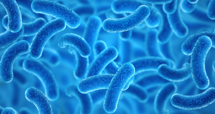 Move Over Probiotics. Synbiotics Are the Gut Supplement You Need