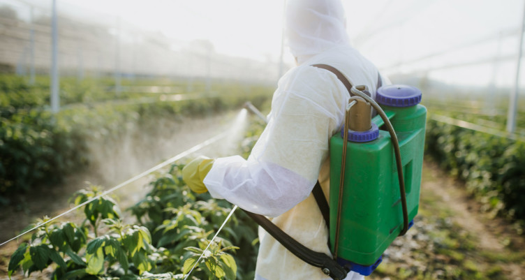 Person spraying crops
