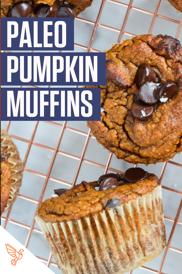 Paleo pumpkin muffins with chocolate chips