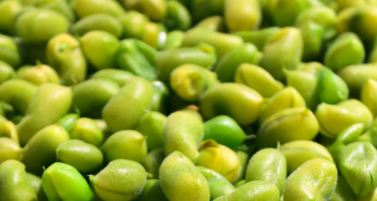 Closeup of raw vegetables