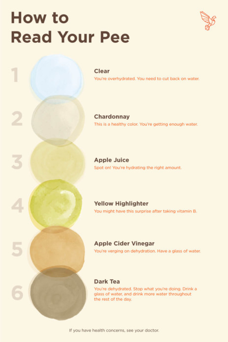 diagrama culorii urinei