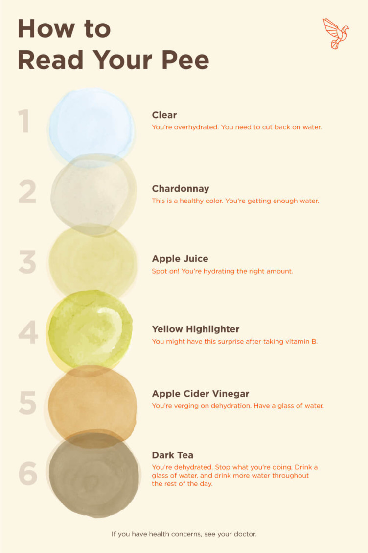 Healthy Color Chart