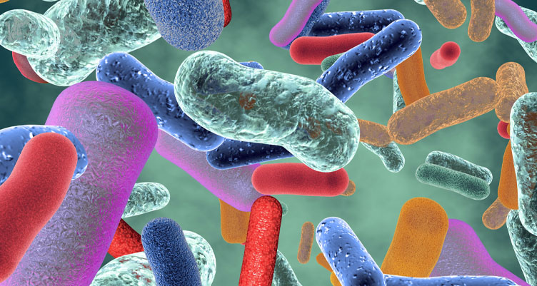 Closeup of colorful gut microbes