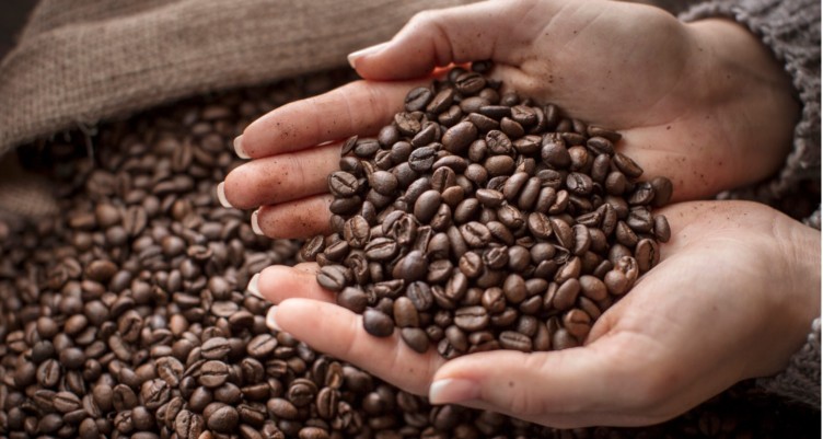 A Coffee Lover's Guide on How to Grind Coffee Beans for Espresso -  CoffeeRoast Co.