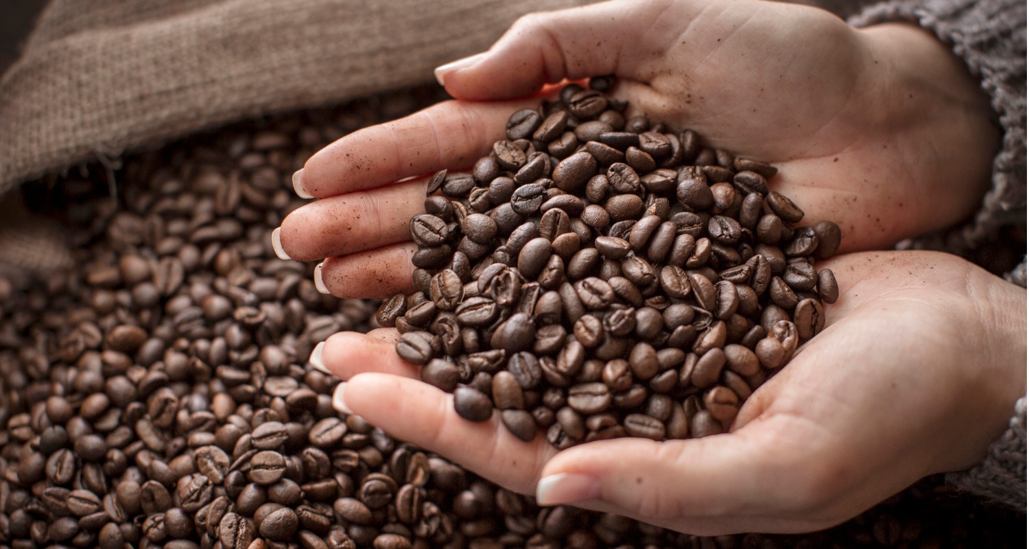 Which Coffee Beans are the Best? How to Choose Delicious Coffee Beans