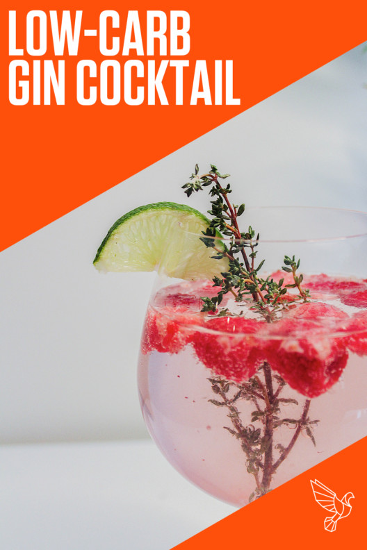 Keto Raspberry Thyme Gin Fizz Recipe KetoFriendly