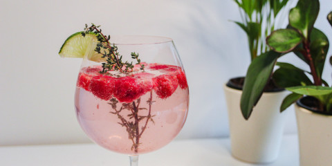 Keto raspberry gin fizz next to plant