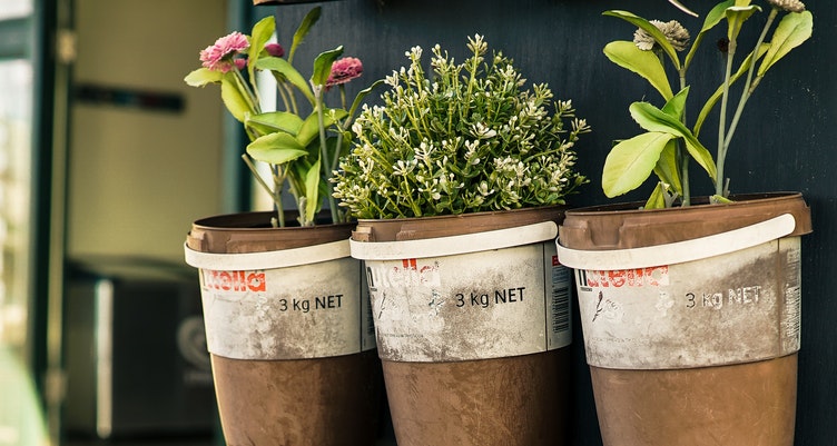 How to Grow a Keto Container Garden at Home