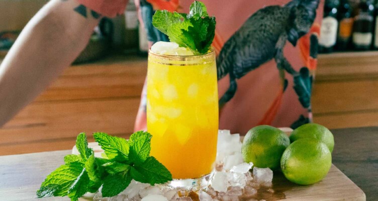 Keto Mojito Recipe