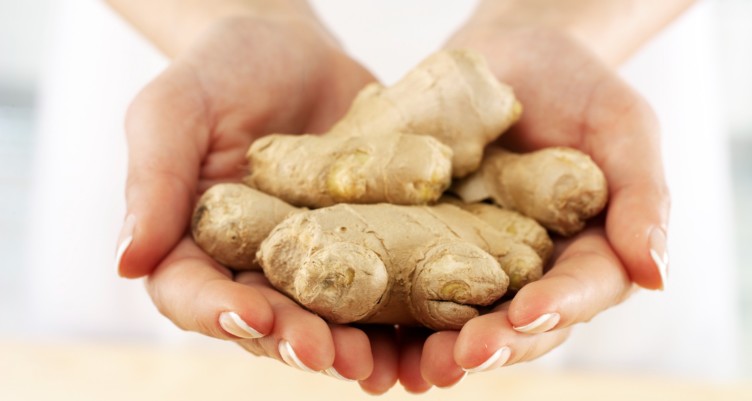 Woman holding ginger roots.