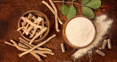 What Are Adaptogens and How Do They Work? | Bulletproof