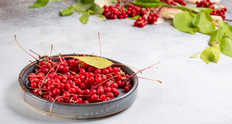 Schisandra, or five-flavor berries, in a bowl.