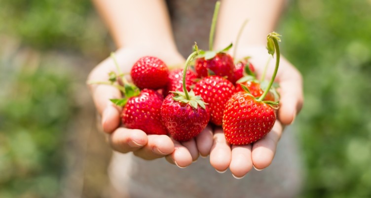 Woman holding strawberries in her hands.