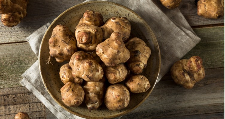 Jerusalem artichoke