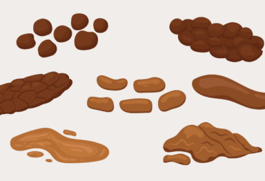 Poop chart infographic, The ultimate guide to poop