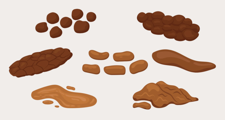 This Poop Chart Identifies Different Types of Poop And What They Mean
