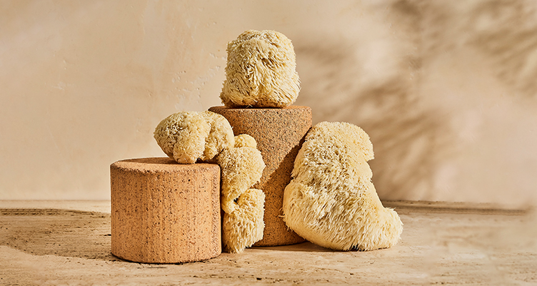 Bulletproof - Lion's Mane