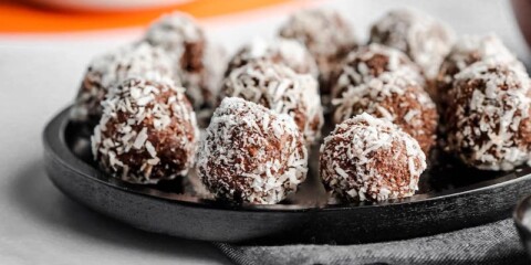chocolate protein bites