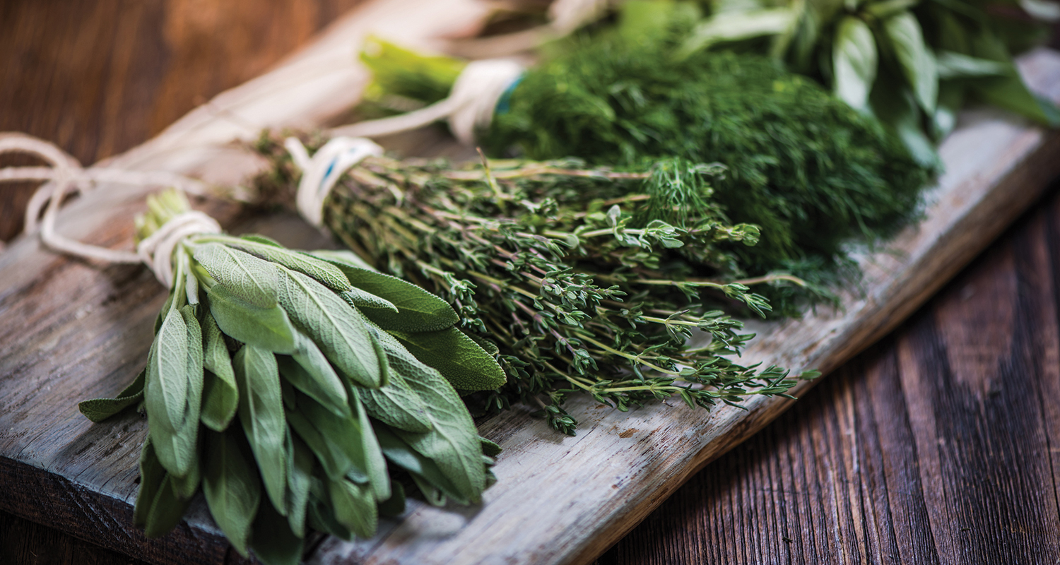 bundles of green herbs