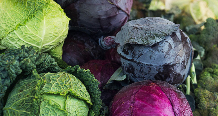 9 Cabbage Recipes to Eat on the Bulletproof Diet
