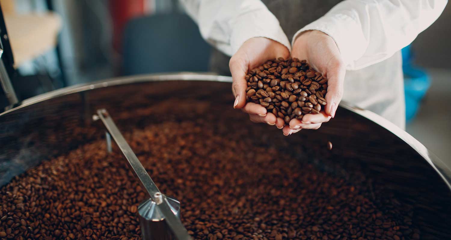 hands holding freshly roasted coffee beans