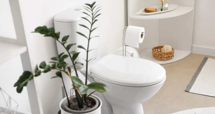 Best Supplements to Help You Poop Better, Naturally