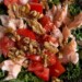 Insulin resistance diet salad with salmon, kale, tomatoes, and walnuts — a low-carb, high-protein meal for blood sugar balance.