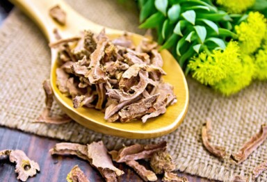 Dried Rhodiola rosea root, an adaptogenic herb used for energy and stress support, on a wooden spoon