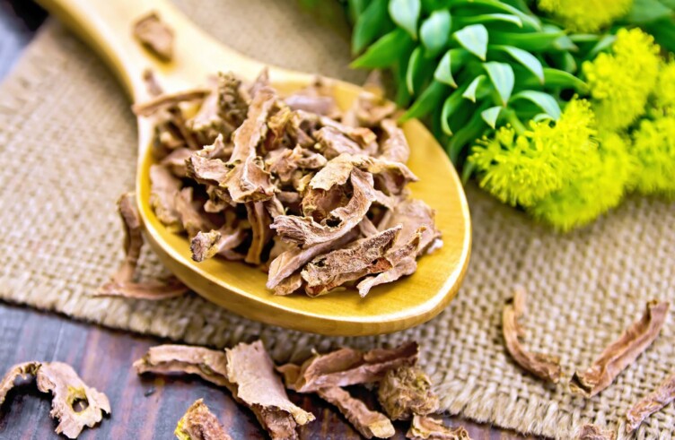 Rhodiola Rosea Benefits: The Practical Guide to Adaptogenic Energy and Stress Support